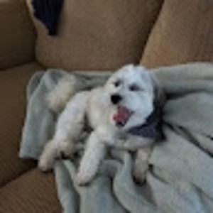 Meet your Posher, Nicholas